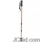 JCBid.com online auction Aluminum-walking-hiking-stick
