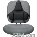 JCBid.com online auction Fellowes-8037601-professional-series-back-support