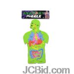 JCBid.com Foam-Anatomy-Puzzle-display-Case-of-72-pieces